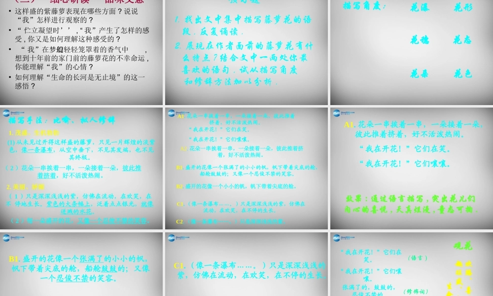 中学七年级语文上册 16 紫藤萝瀑布课件 (新版)新人教版