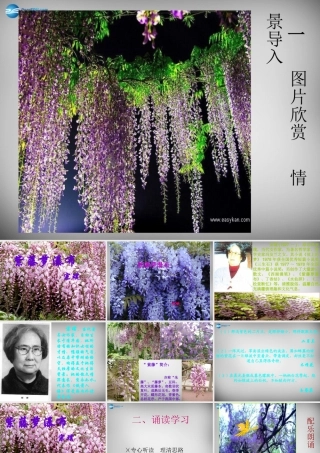 中学七年级语文上册 16 紫藤萝瀑布课件 (新版)新人教版