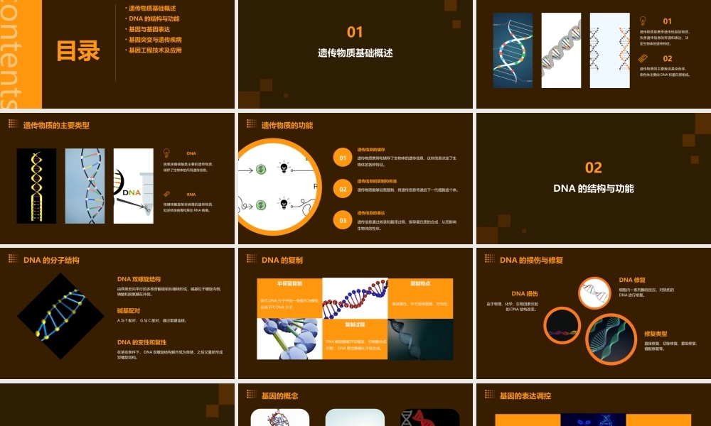 遗传物质基础总论课件