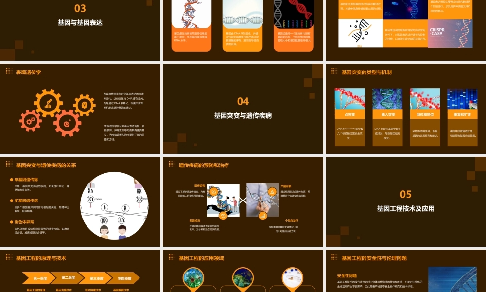 遗传物质基础总论课件