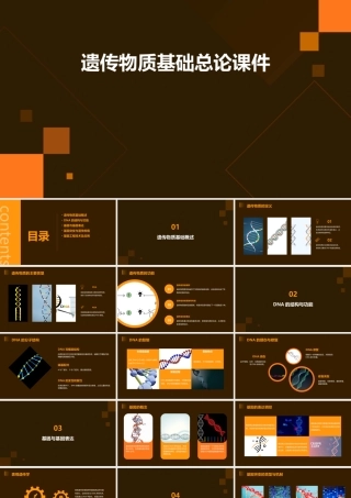 遗传物质基础总论课件