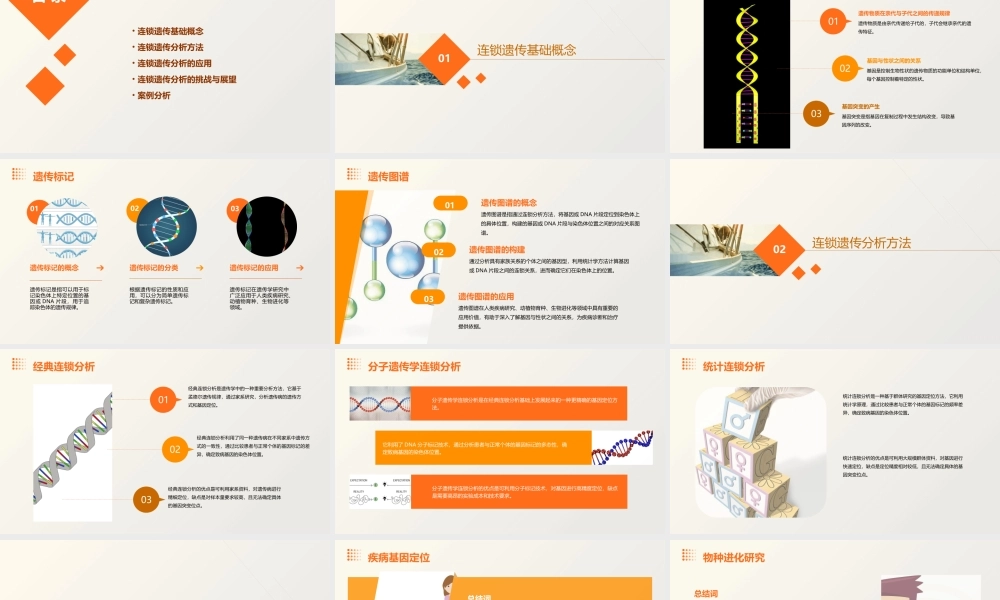 遗传学连锁遗传分析课件