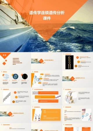 遗传学连锁遗传分析课件