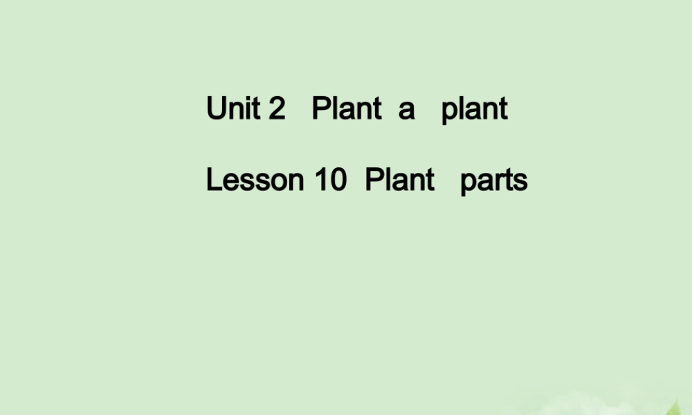 八年级英语下册 Lesson10Plant parts课件 冀教版 课件