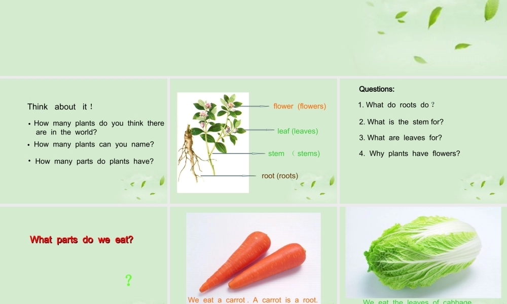 八年级英语下册 Lesson10Plant parts课件 冀教版 课件