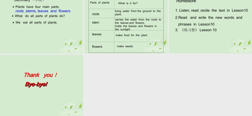 八年级英语下册 Lesson10Plant parts课件 冀教版 课件