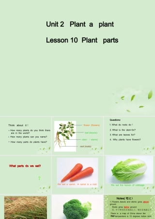 八年级英语下册 Lesson10Plant parts课件 冀教版 课件