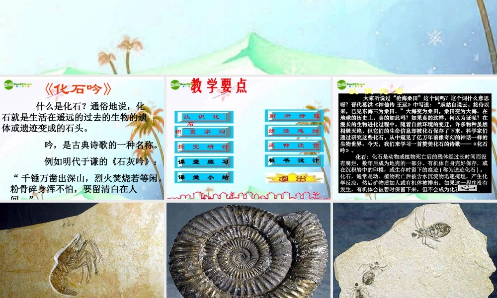 七年级语文上册 第四单元第16课 (化石吟)课件 人教新课标版 课件