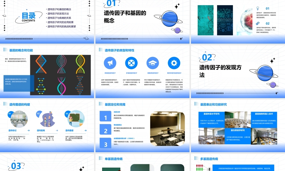 遗传因子的发现复习课件