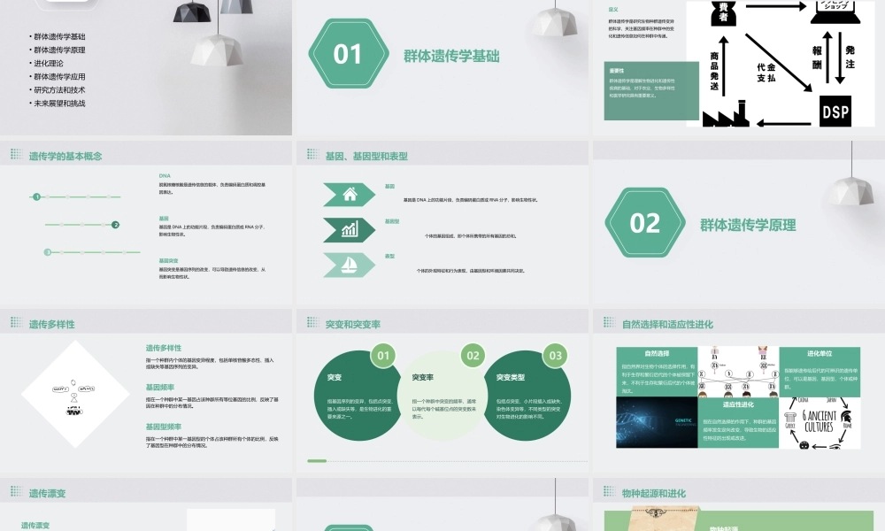 遗传学经典通用课件群体遗传和进化