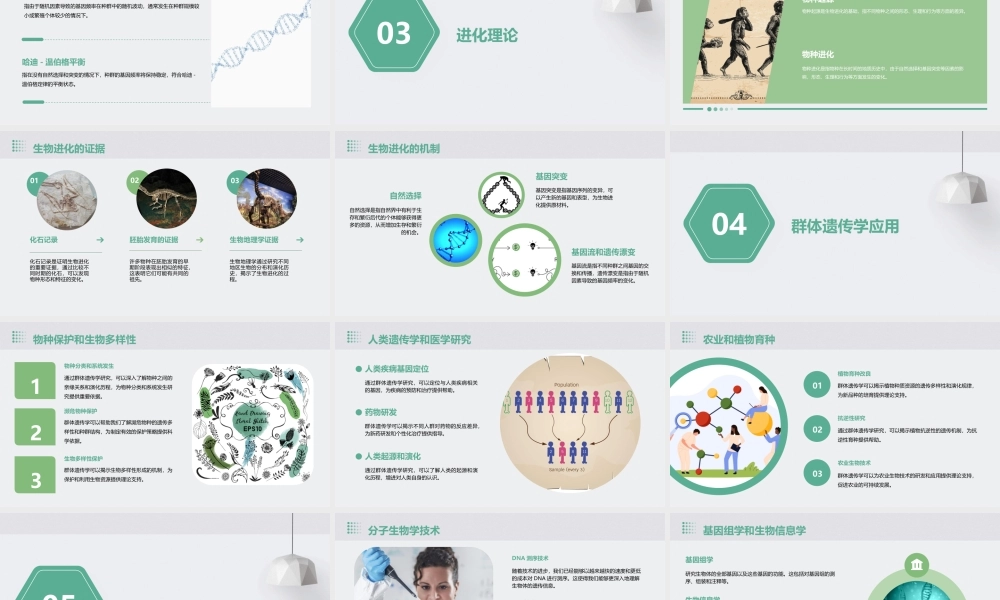 遗传学经典通用课件群体遗传和进化