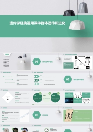 遗传学经典通用课件群体遗传和进化