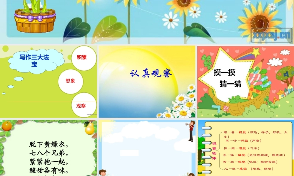 观察与思考作文——观察桔子