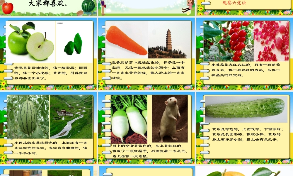 观察与思考作文——观察桔子