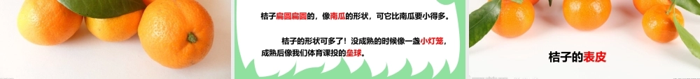 观察与思考作文——观察桔子