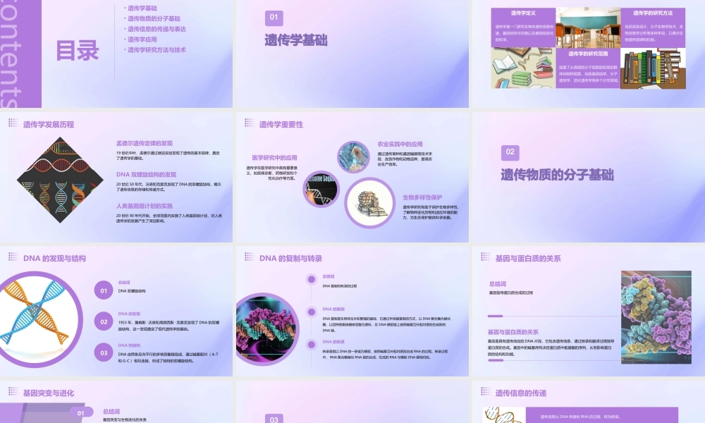遗传及其分子基础课件