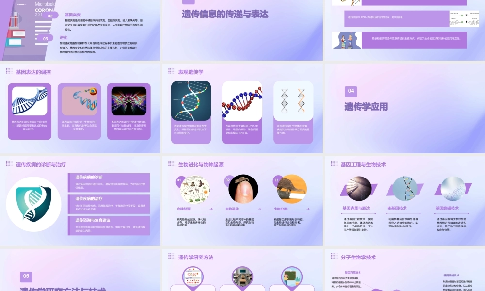 遗传及其分子基础课件