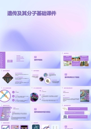 遗传及其分子基础课件