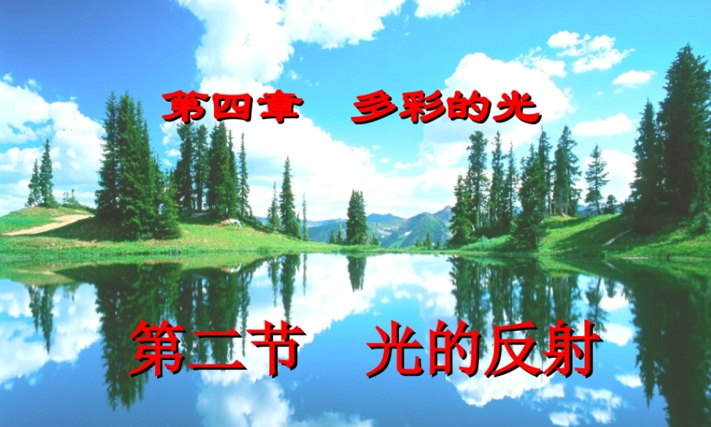 光的反射 (4)