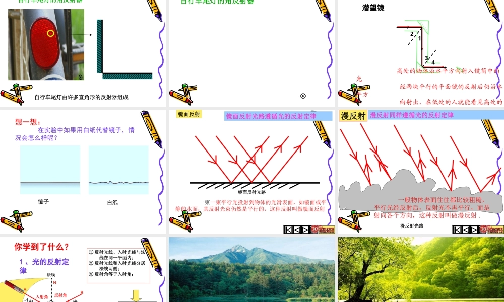光的反射 (4)