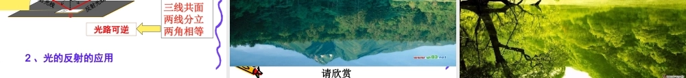 光的反射 (4)