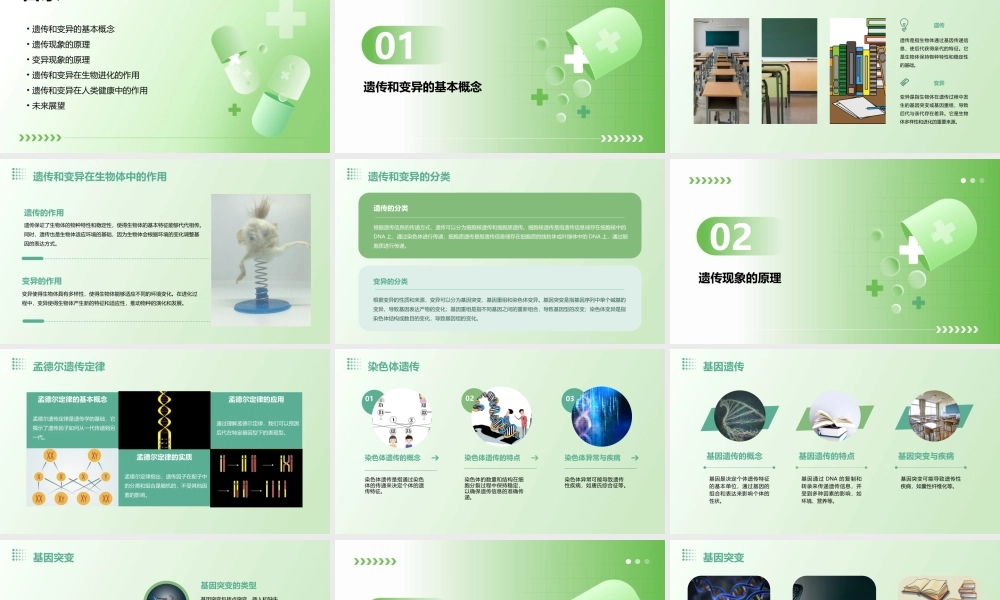 遗传和变异现象(公开课)课件