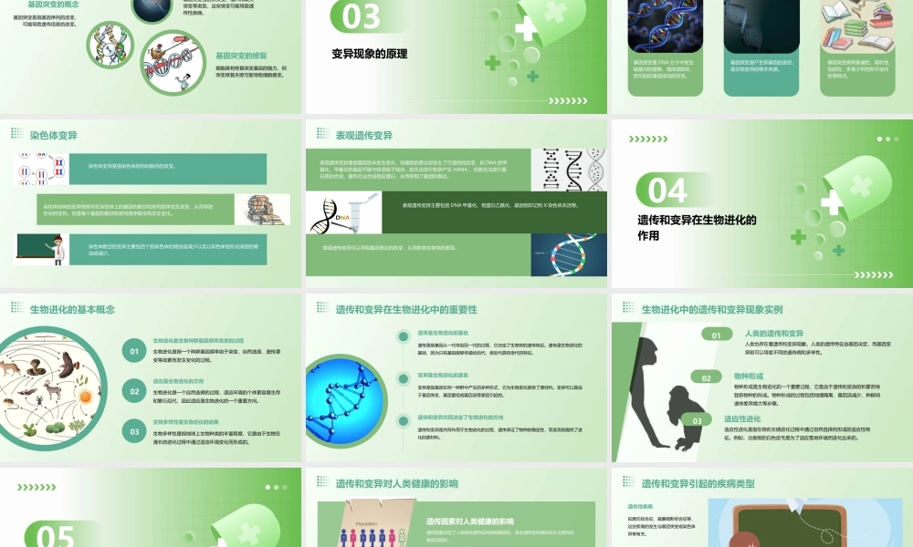 遗传和变异现象(公开课)课件