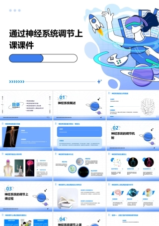 通过神经系统调节上课课件