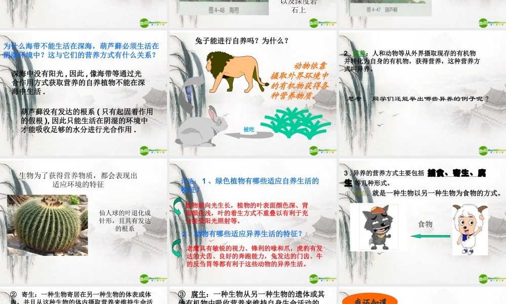 九年级科学上册 第六节代谢的多样性课件 浙教版 课件