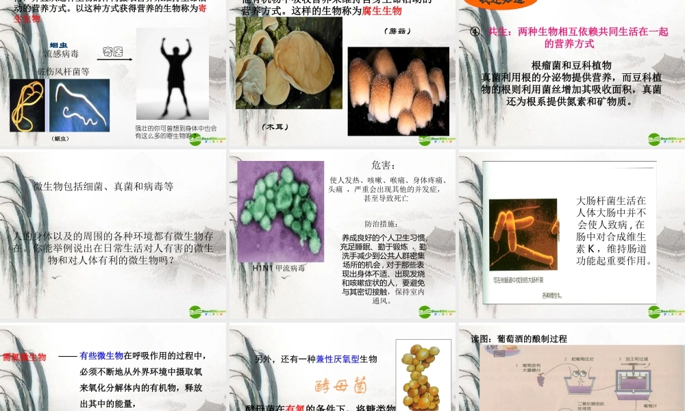 九年级科学上册 第六节代谢的多样性课件 浙教版 课件