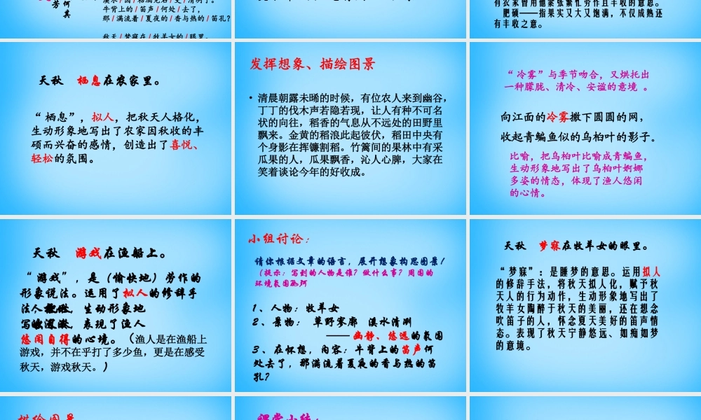 中学七年级语文上册(第14课 秋天)课件2 (新版)新人教版 课件