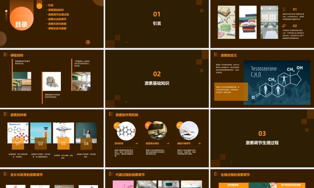 通过激素的调节说课课件