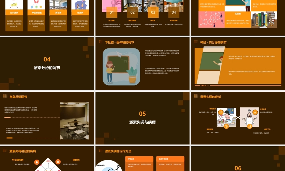 通过激素的调节说课课件