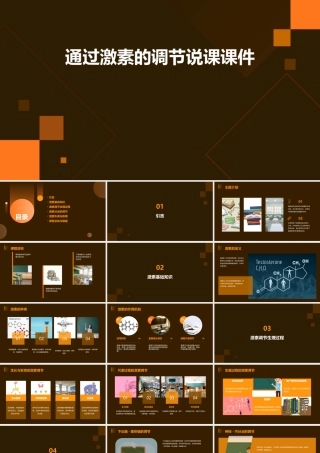 通过激素的调节说课课件