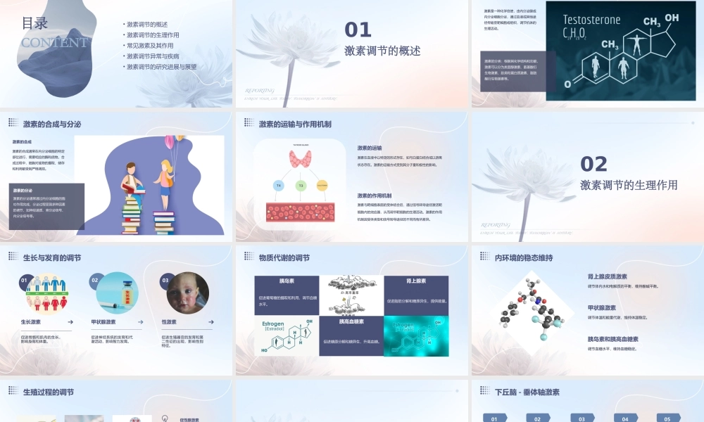 通过激素调节(完美版)课件