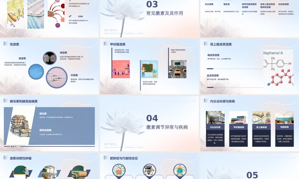 通过激素调节(完美版)课件