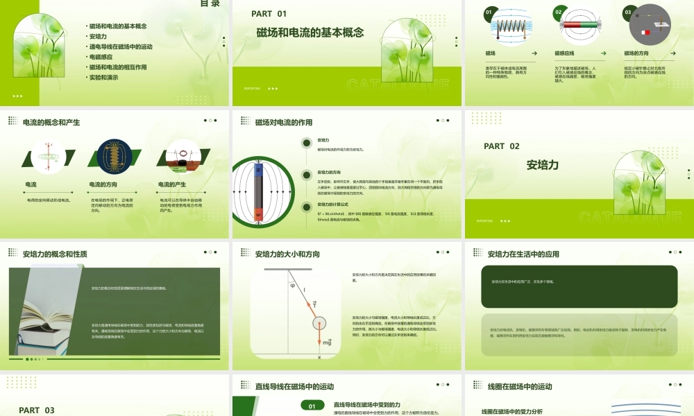通电导线在磁场中受到的力(新授公开课)课件