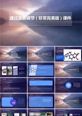通过激素调节(非常完美版)(共58张)课件