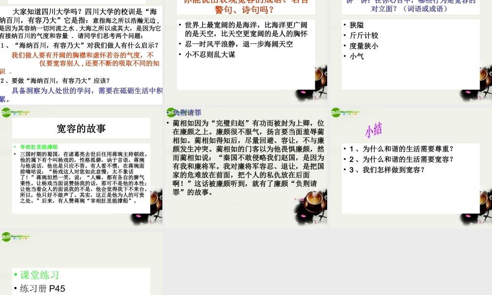 八年级政治上册(同在一片蓝天下)课件1 陕教版 课件