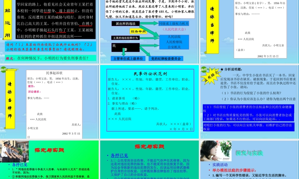 八年级政治下册 公民要依法同违法犯罪作斗争，维护自己的合法权益复习课课件 人教新课标版 课件