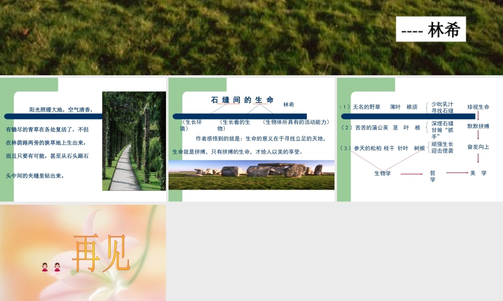 九年级语文下册石缝间的生命2 课件语文版 课件