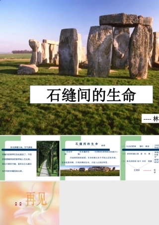 九年级语文下册石缝间的生命2 课件语文版 课件