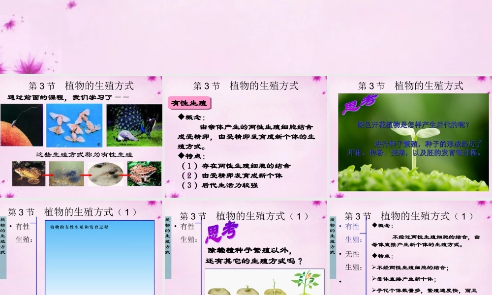 八年级生物上册 第十九章 第三节 植物的生殖方式课件 北师大版 课件