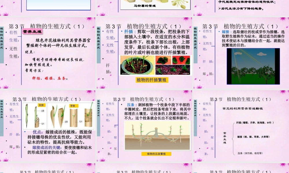 八年级生物上册 第十九章 第三节 植物的生殖方式课件 北师大版 课件