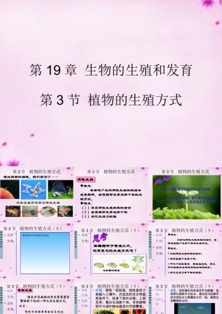 八年级生物上册 第十九章 第三节 植物的生殖方式课件 北师大版 课件