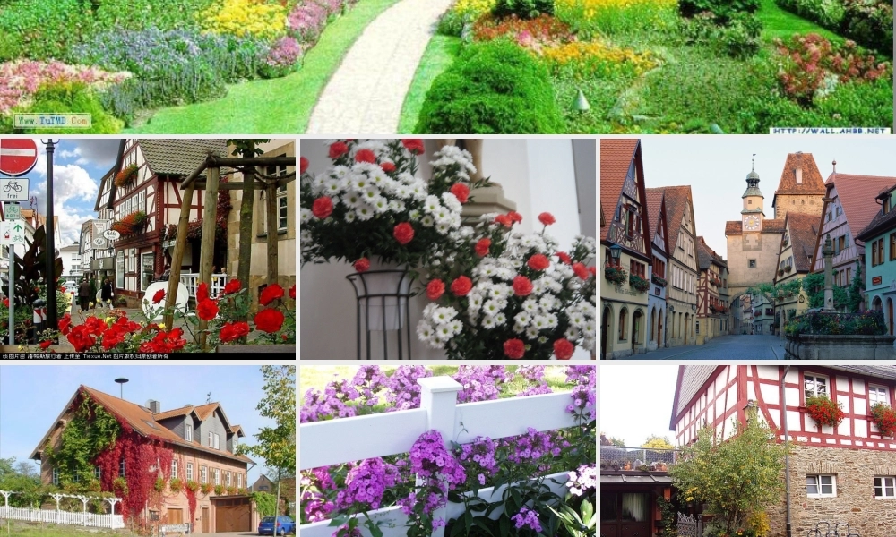 自己的花是让别人看的课件 (2)