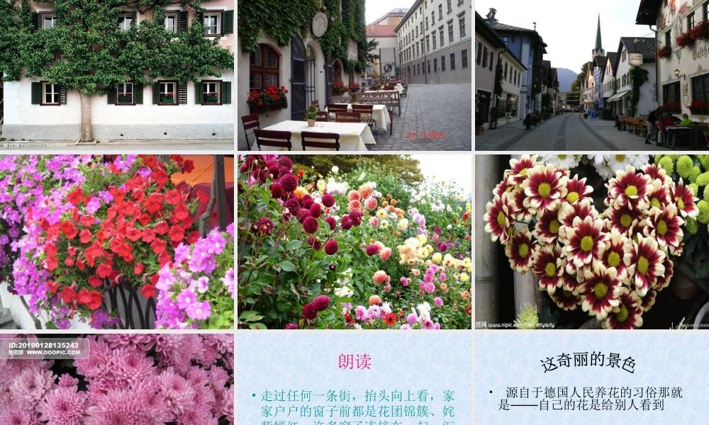 自己的花是让别人看的课件 (2)