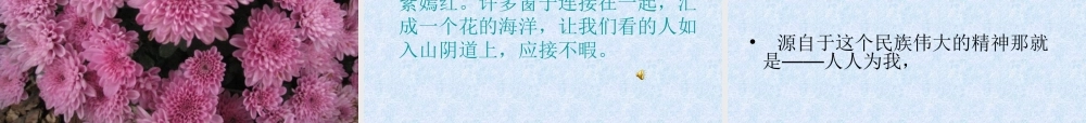 自己的花是让别人看的课件 (2)