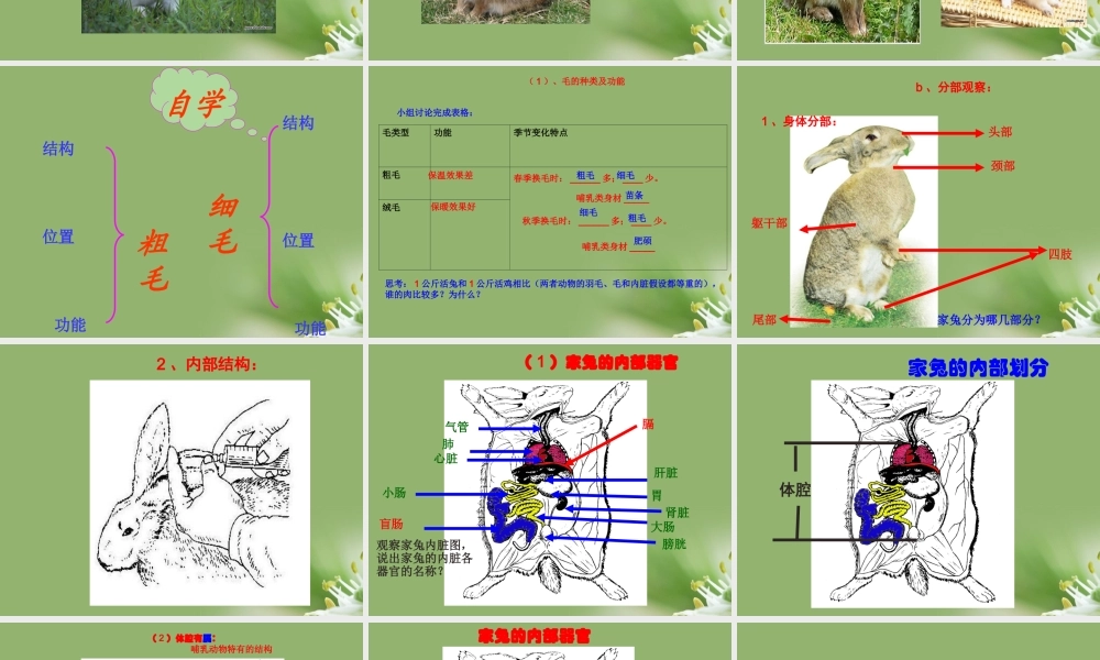 七年级生物上册 多种多样的动物家畜 冀教版 课件