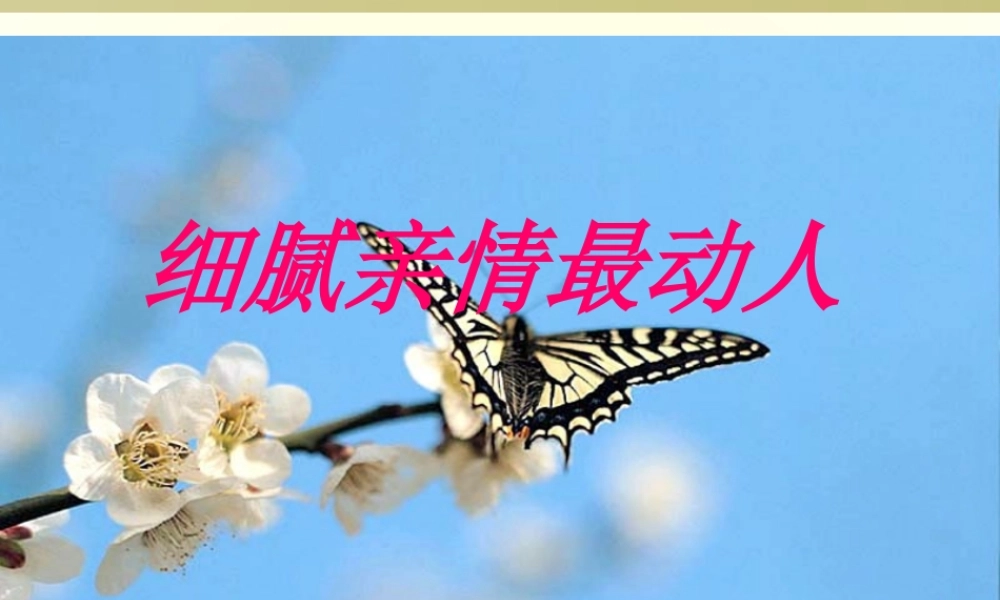 作文_细腻亲情最动人